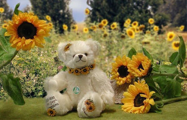 Sun-Flower Bear